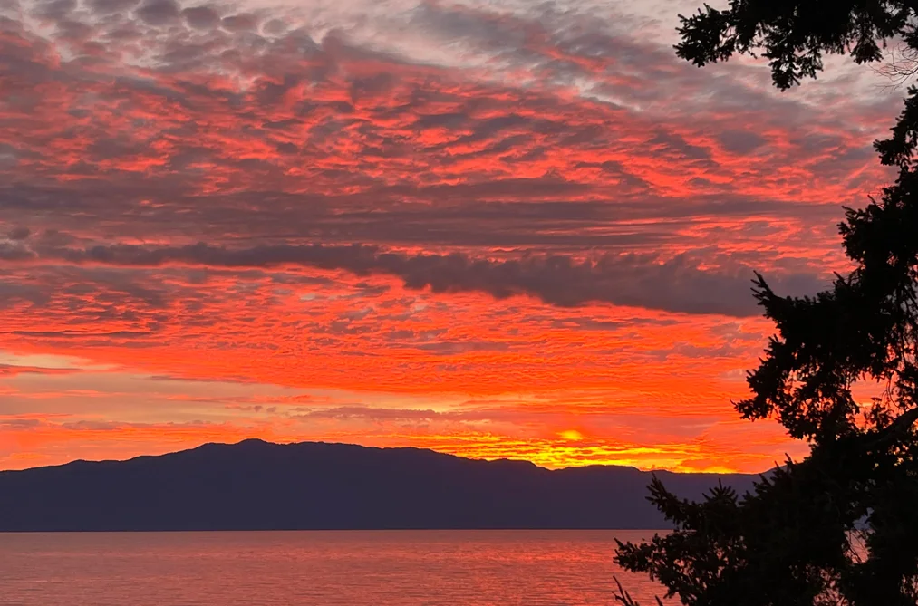 11579 SUNSHINE COAST HIGHWAY, Halfmoon Bay BC V7Z 1C1, Halfmoon Bay BC — Residential for Sale — Photo 4 of 40