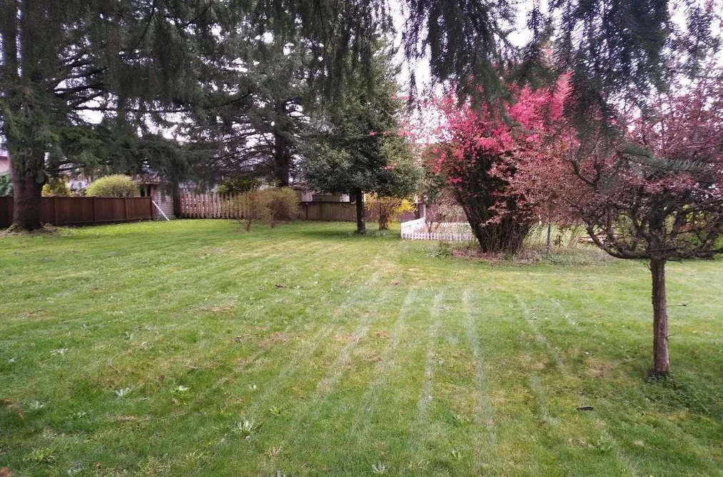 11726 203 STREET, Maple Ridge BC V2X 4T9, Maple Ridge BC — Residential for Sale - Photo 2