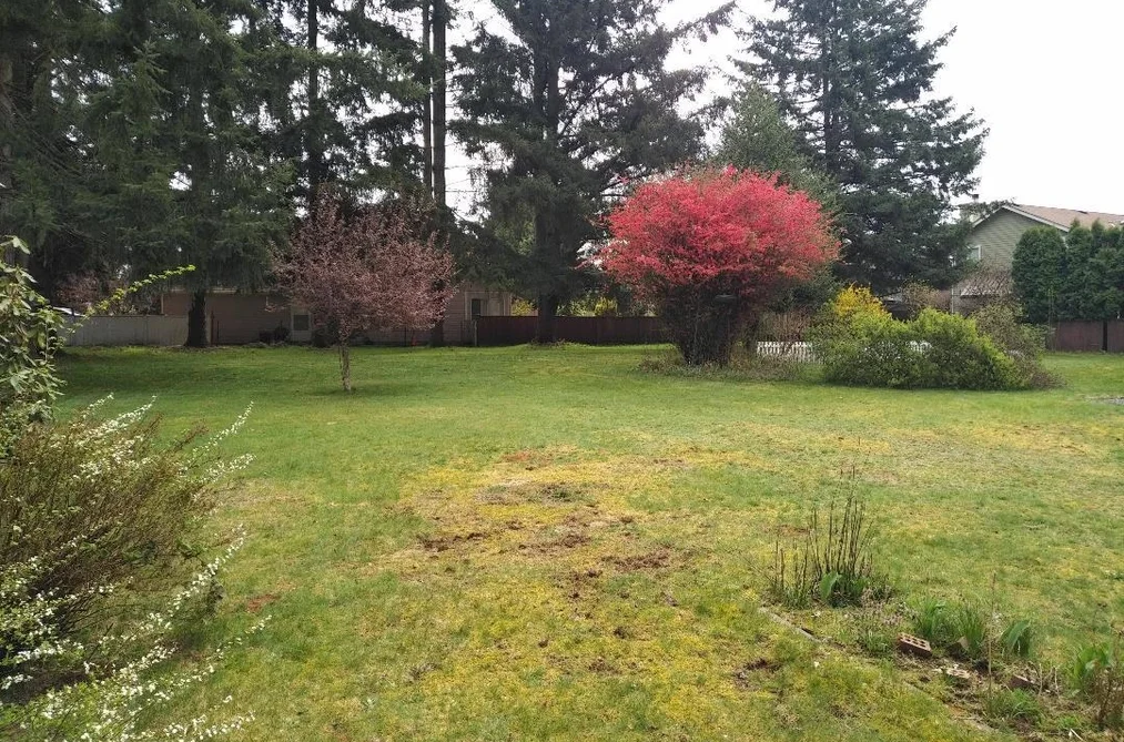11726 203 STREET, Maple Ridge BC V2X 4T9, Maple Ridge BC — Residential for Sale - Photo 6