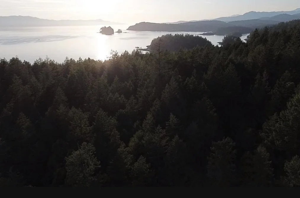 11793 SUNSHINE COAST HIGHWAY, Halfmoon Bay BC V7Z 1C1, Halfmoon Bay BC — Land for Sale - Photo 2