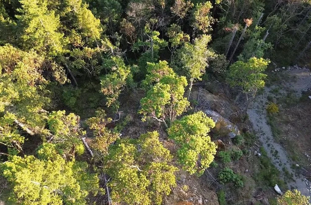 11793 SUNSHINE COAST HIGHWAY, Halfmoon Bay BC V7Z 1C1, Halfmoon Bay BC — Land for Sale - Photo 3