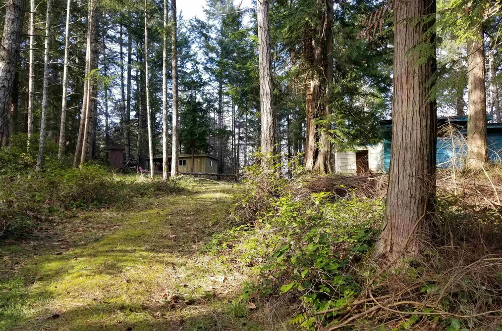 118 BURRILL ROAD, Galiano Island BC V0N 1P0, Galiano Island BC — Residential for Sale - Photo 3