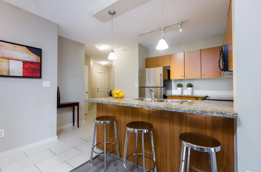 1204 511 ROCHESTER AVENUE, Coquitlam BC V3K 0A2, Coquitlam BC — Residential for Sale - Photo 4
