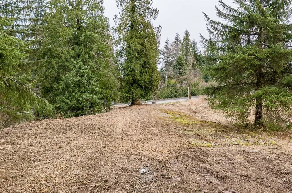 12041 256th Street, Maple Ridge, BC - MLS: R3163752 - Photo 16 12041 256th Street, Maple Ridge, BC - MLS: R3163752 - Photo 16