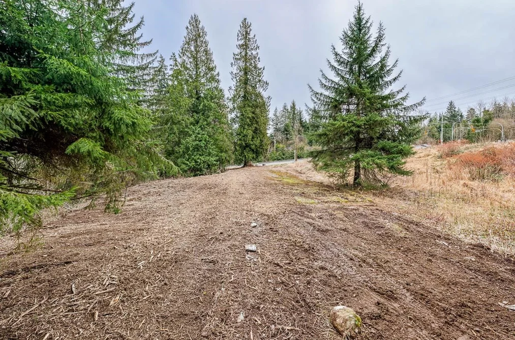 12041 256th Street, Maple Ridge, BC - MLS: R3163752 - Photo 17 12041 256th Street, Maple Ridge, BC - MLS: R3163752 - Photo 17