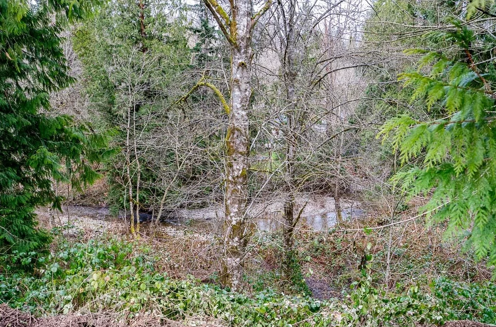 12041 256TH STREET STREET, Maple Ridge BC V4R 1B5, Maple Ridge BC — Land for Sale - Photo 2