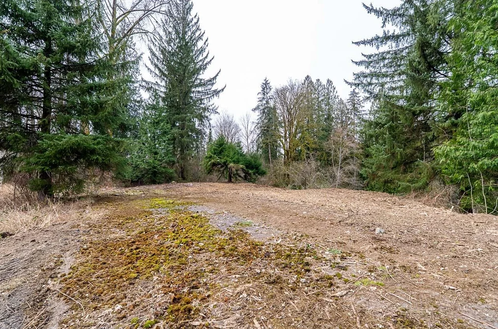 12041 256th Street, Maple Ridge, BC - MLS: R3163752 - Photo 26 12041 256th Street, Maple Ridge, BC - MLS: R3163752 - Photo 26