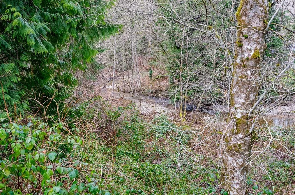 12041 256th Street, Maple Ridge, BC - MLS: R3163752 - Photo 27 12041 256th Street, Maple Ridge, BC - MLS: R3163752 - Photo 27