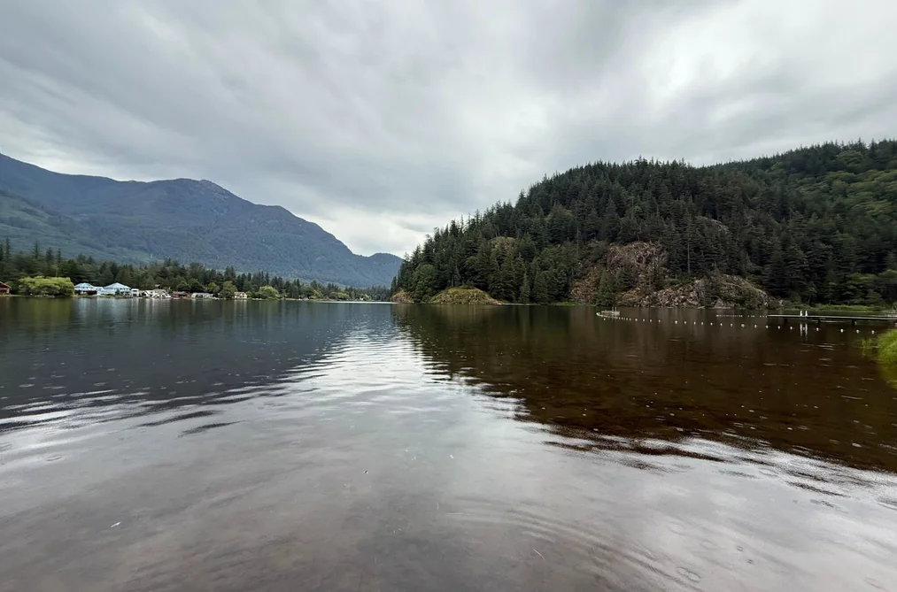 Property for sale at 12050 Hodgkin Road Mission British Columbia - MLS: R3132848