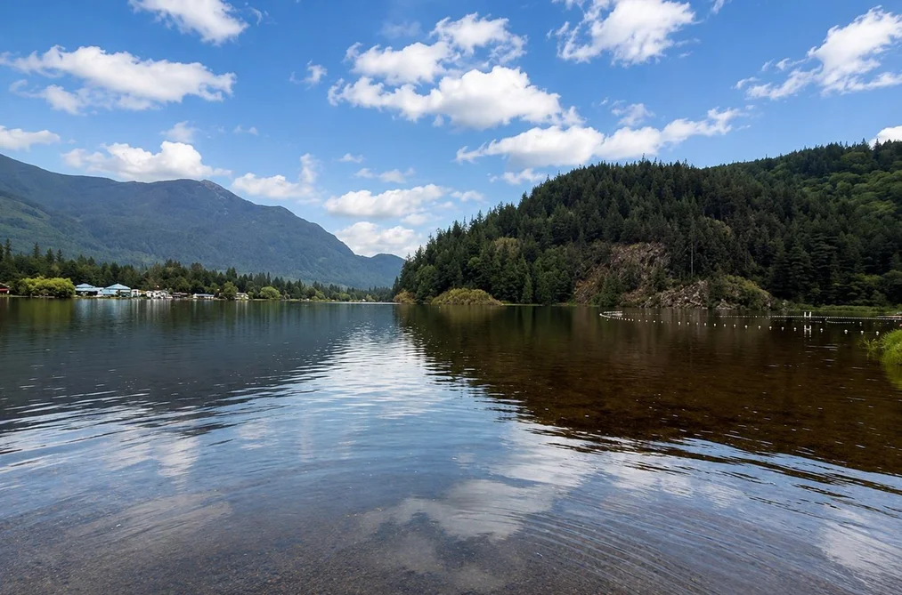 Property for sale at 12050 Hodgkin Road Mission British Columbia - MLS: R3132848