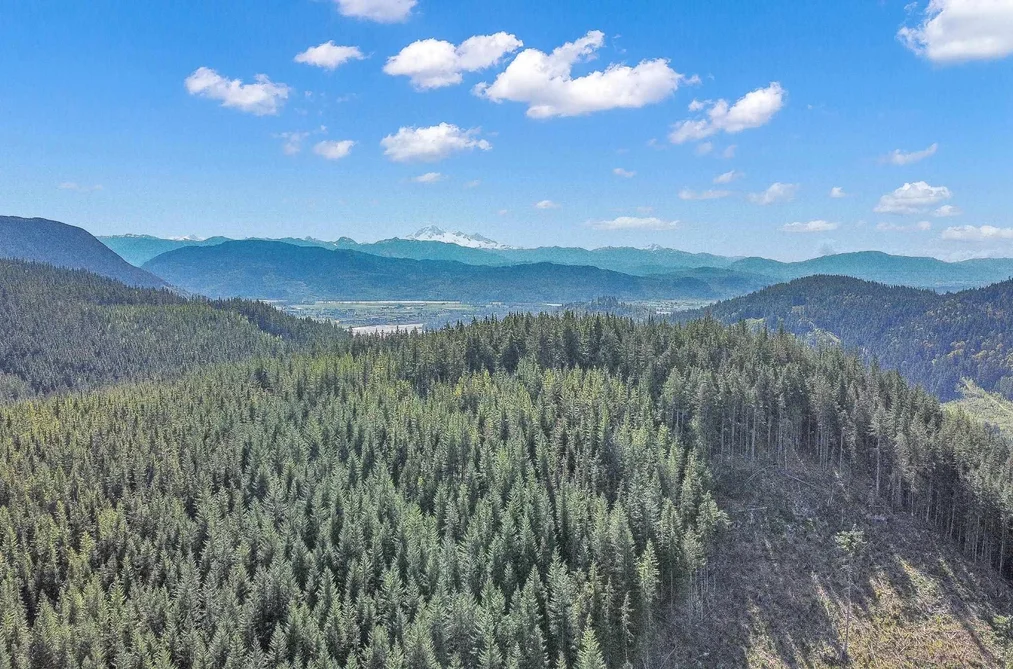 12053 CAMPBELL STREET, Mission BC V2S 1L5, Mission BC — Land for Sale - Photo 2