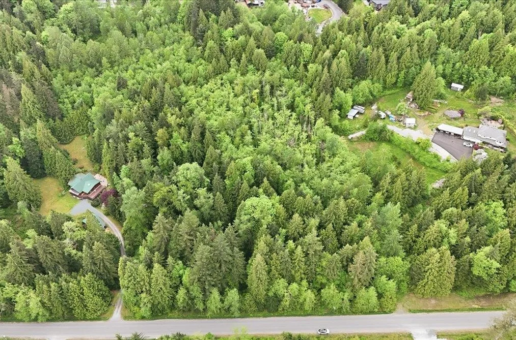 Property for sale at 12111 Garibaldi Street Maple Ridge British Columbia - MLS: R3076487