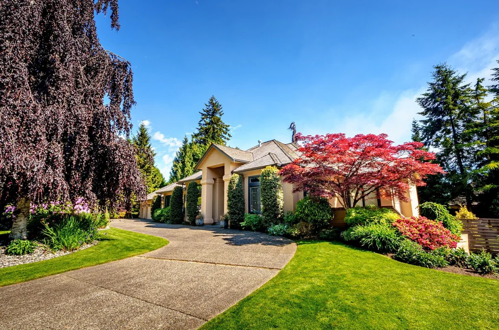 House for sale at 12166 57 Avenue Surrey British Columbia - MLS: R3127499