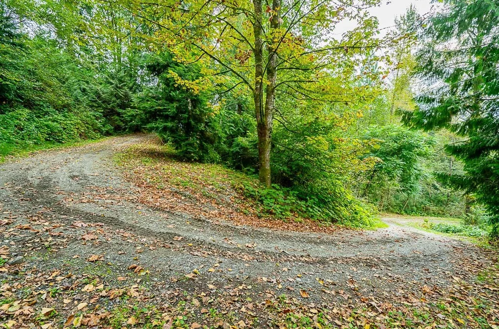 12181-12241 Stave Lake Road, Mission, BC - MLS: R3162771 - Photo 7