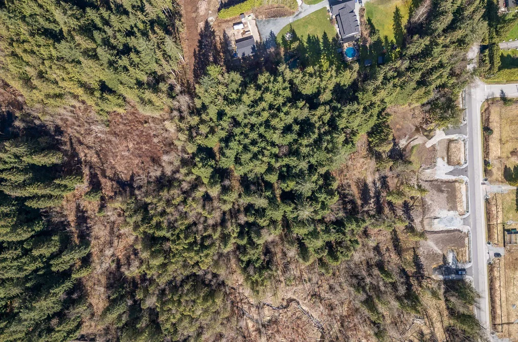 12191 ROLLEY LAKE STREET, Mission BC V4S 1E1, Mission BC — Land for Sale - Photo 4