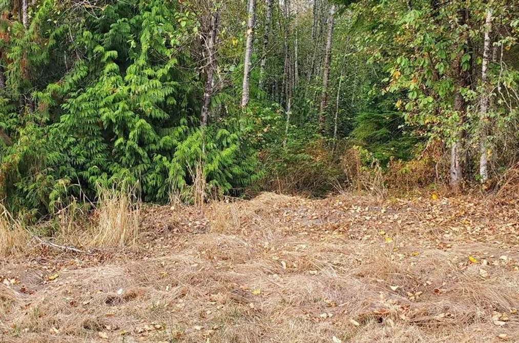 Property for sale at 12350 270a Street Maple Ridge British Columbia - MLS: R2990683