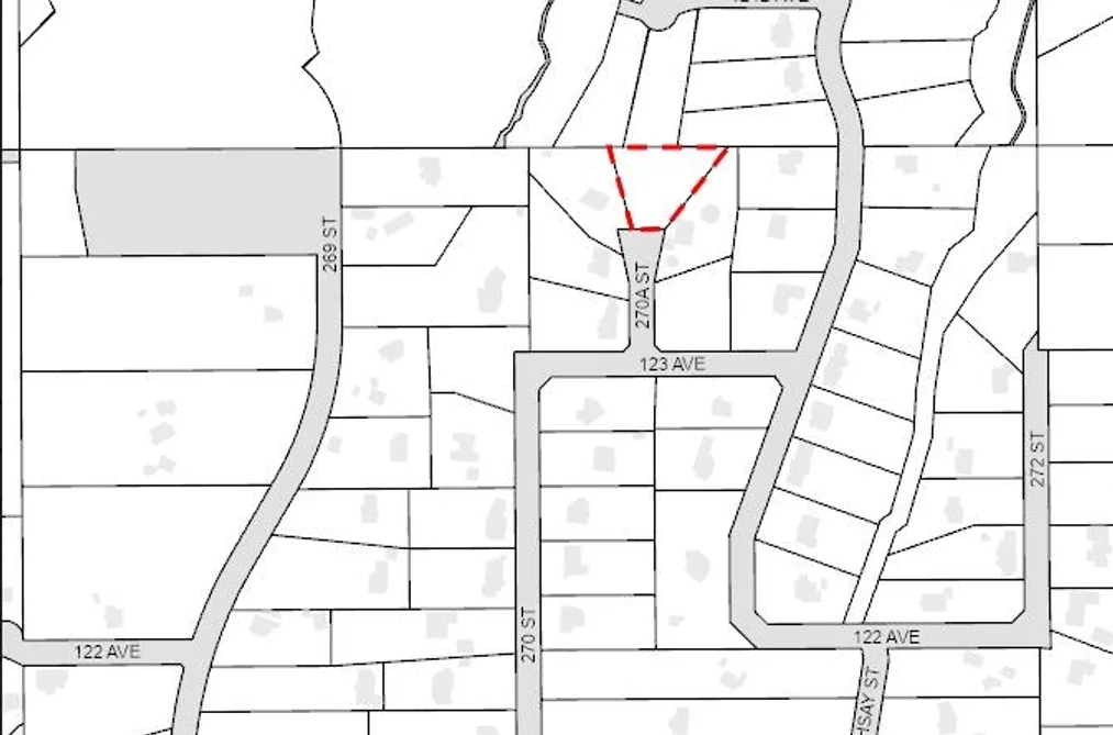 12350 270A STREET, Maple Ridge BC V2W 1C2, Maple Ridge BC — Land for Sale - Photo 2