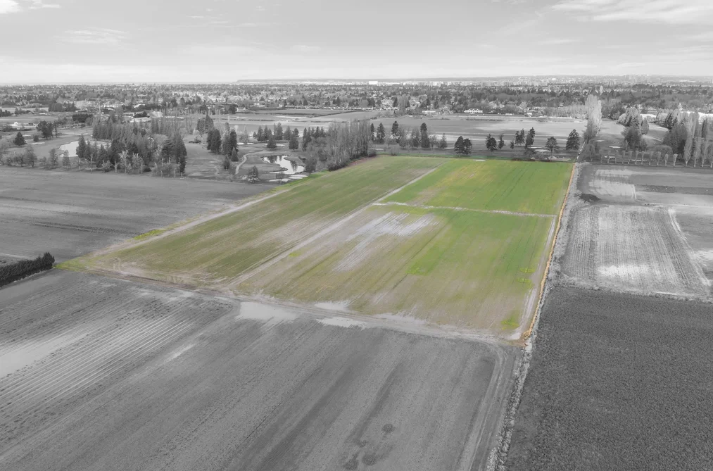 12371 GARDEN CITY ROAD, Richmond BC V7A 1X2, Richmond BC — Land for Sale - Photo 3