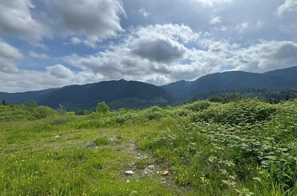 12408 SEUX ROAD, Mission BC V2V 4J1, Mission BC — Residential for Sale - Photo 5