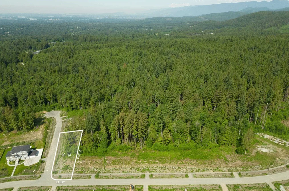 12475 271 STREET, Maple Ridge BC V2W 1C2, Maple Ridge BC — Land for Sale - Photo 2