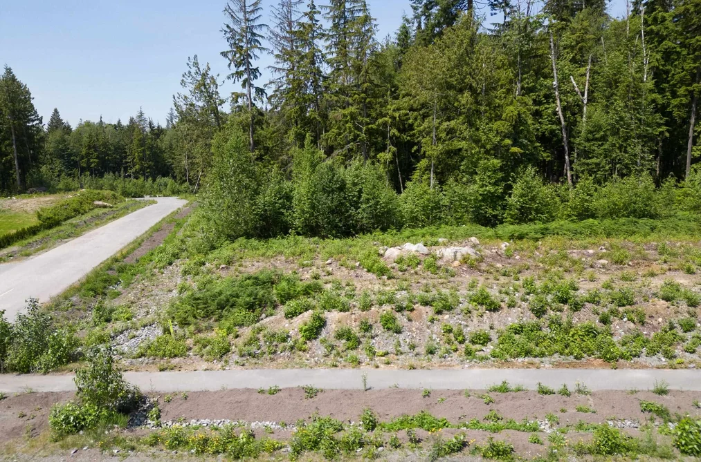 12475 271 STREET, Maple Ridge BC V2W 1C2, Maple Ridge BC — Land for Sale - Photo 3