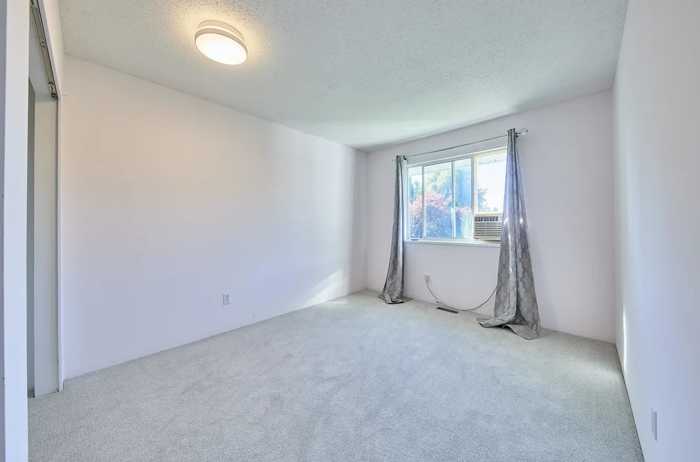12485 205 Street, Maple Ridge, BC - MLS: R3162309 - Photo 29