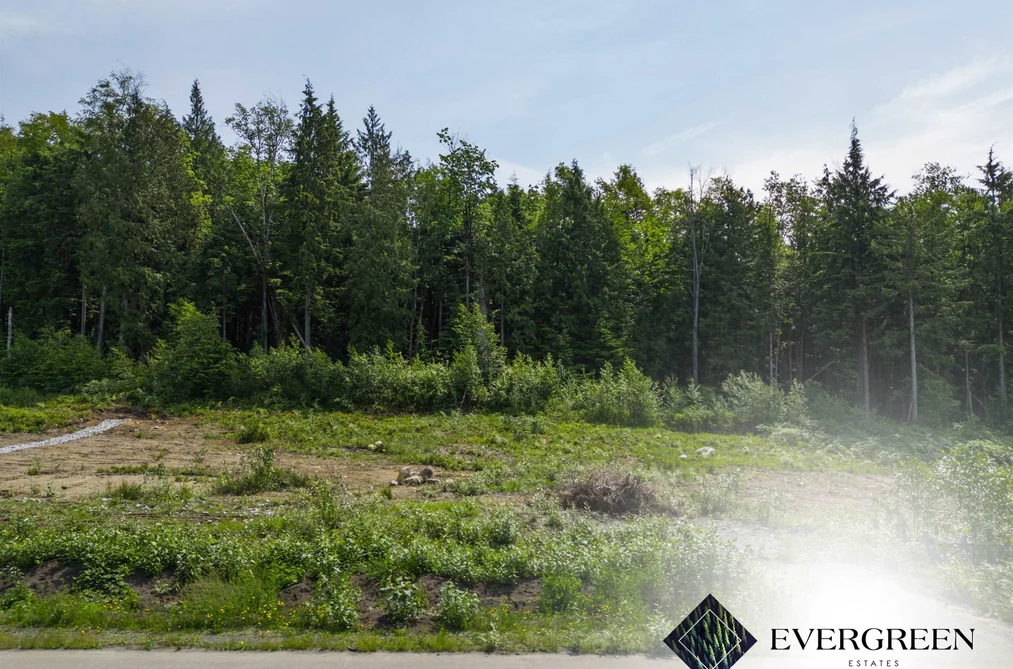 12522 271 STREET, Maple Ridge BC V2W 1C2, Maple Ridge BC — Land for Sale - Photo 3