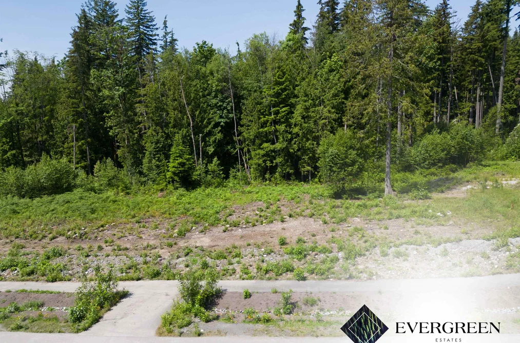 12535 271 STREET, Maple Ridge BC V2W 1C2, Maple Ridge BC — Land for Sale - Photo 3