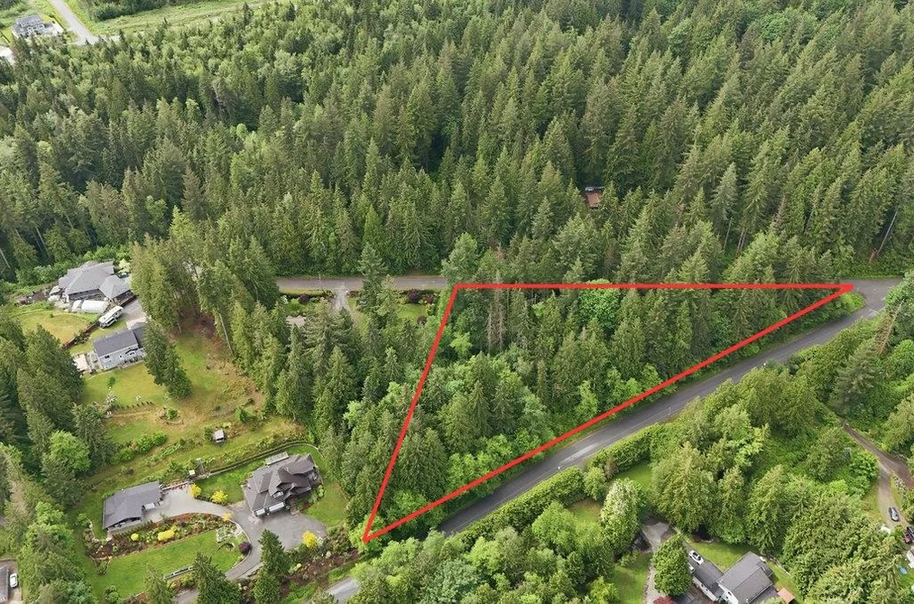 12540 BLUE MOUNTAIN CRESCENT, Maple Ridge BC V2W 1N7, Maple Ridge BC — Land for Sale - Photo 2