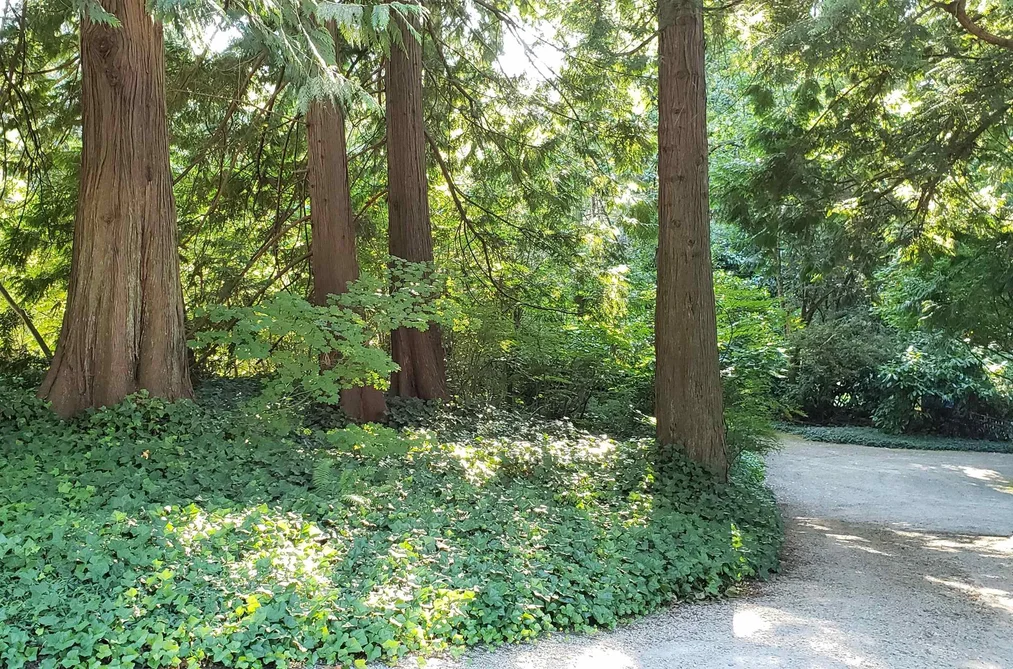 12581 CRESCENT ROAD, Surrey BC V4A 2V4, Surrey BC — Residential for Sale - Photo 5