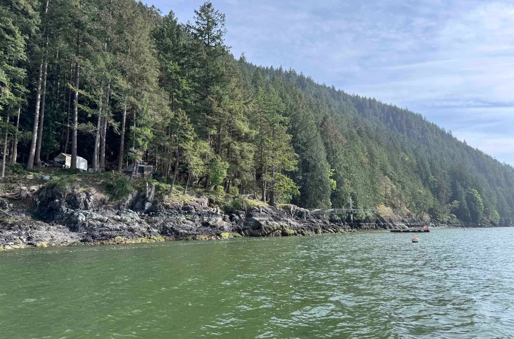 1268 WF, Bowen Island BC V0N 1G2, Bowen Island BC — Land for Sale - Photo 2