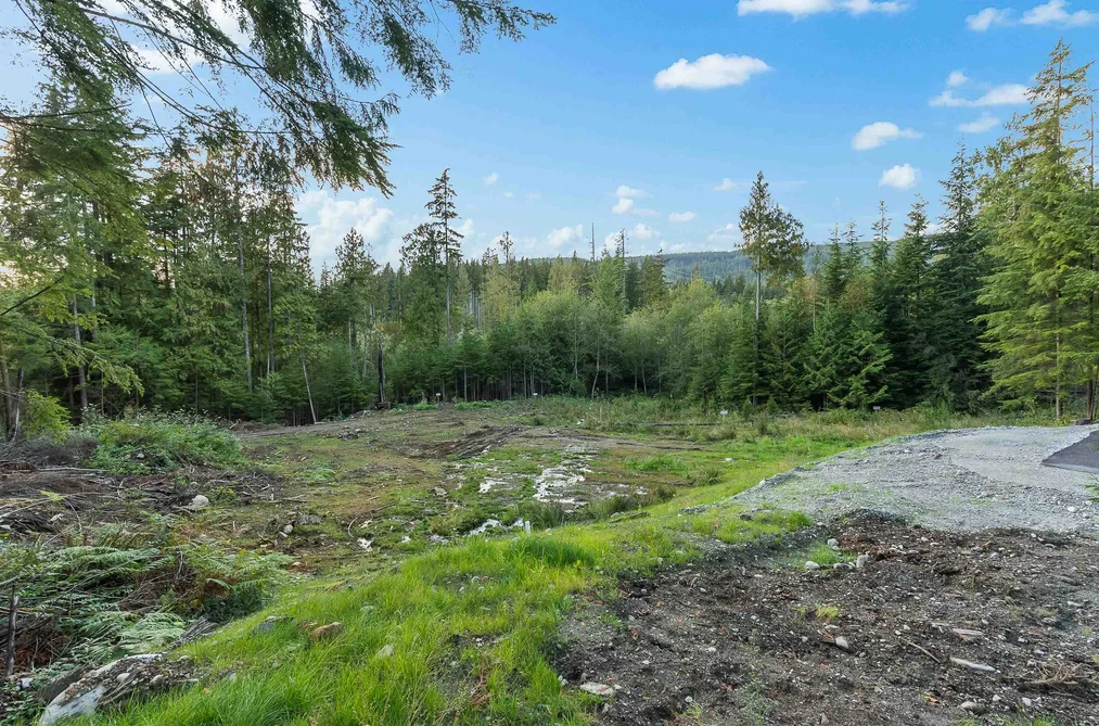 12685 CARR STREET, Mission BC V4S 1B9, Mission BC — Land for Sale - Photo 2