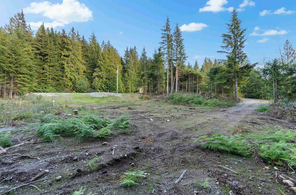 12685 CARR STREET, Mission BC V4S 1B9, Mission BC — Land for Sale - Photo 3