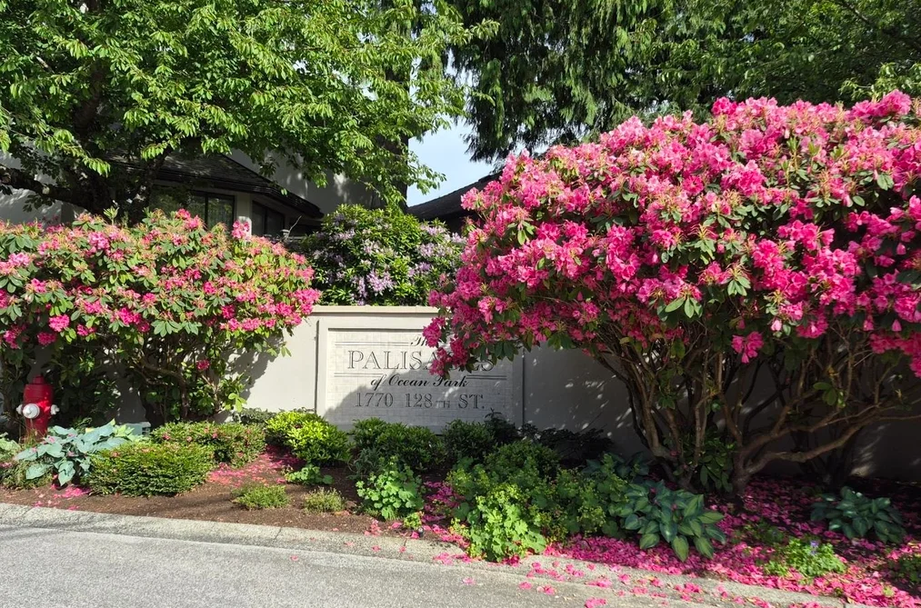 Townhouse for sale at 127 1770 128 Street Surrey British Columbia - MLS: R3131418