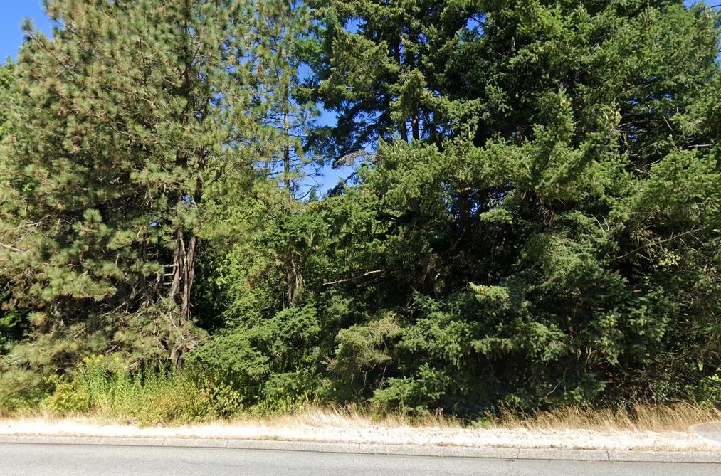 Property for sale at 12739 Crescent Road Surrey British Columbia - MLS: R3073717