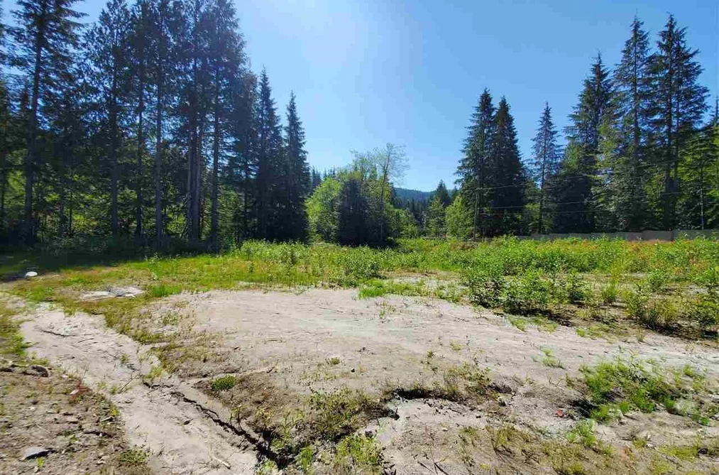 Property for sale at 12767 Cardinal Street Mission British Columbia - MLS: R3076164