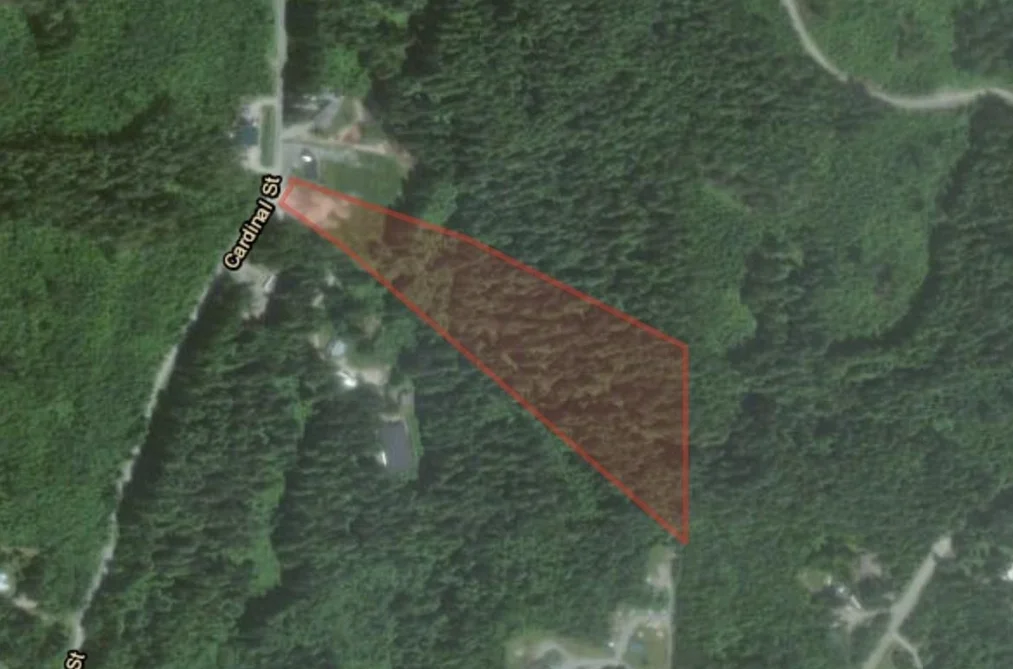 12767 CARDINAL STREET, Mission BC V4S 1L3, Mission BC — Land for Sale - Photo 2