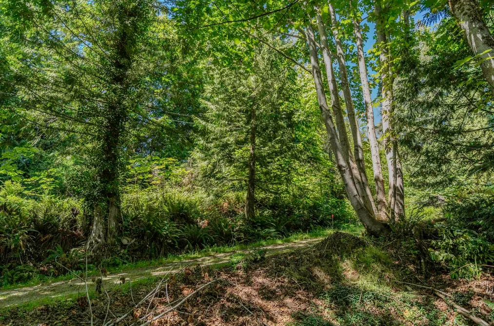 12882 STONE ROAD, Pender Harbour BC V0N 2H1, Pender Harbour BC — Land for Sale - Photo 4