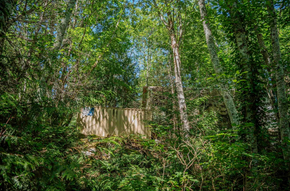 12882 STONE ROAD, Pender Harbour BC V0N 2H1, Pender Harbour BC — Land for Sale - Photo 6