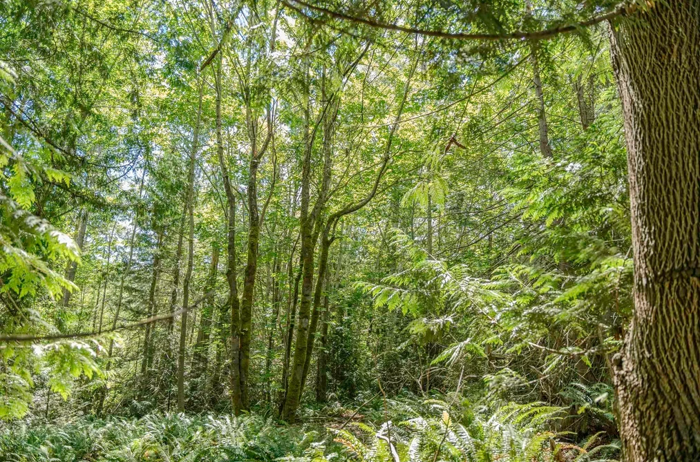 12882 STONE ROAD, Pender Harbour BC V0N 2H1, Pender Harbour BC — Land for Sale - Photo 7