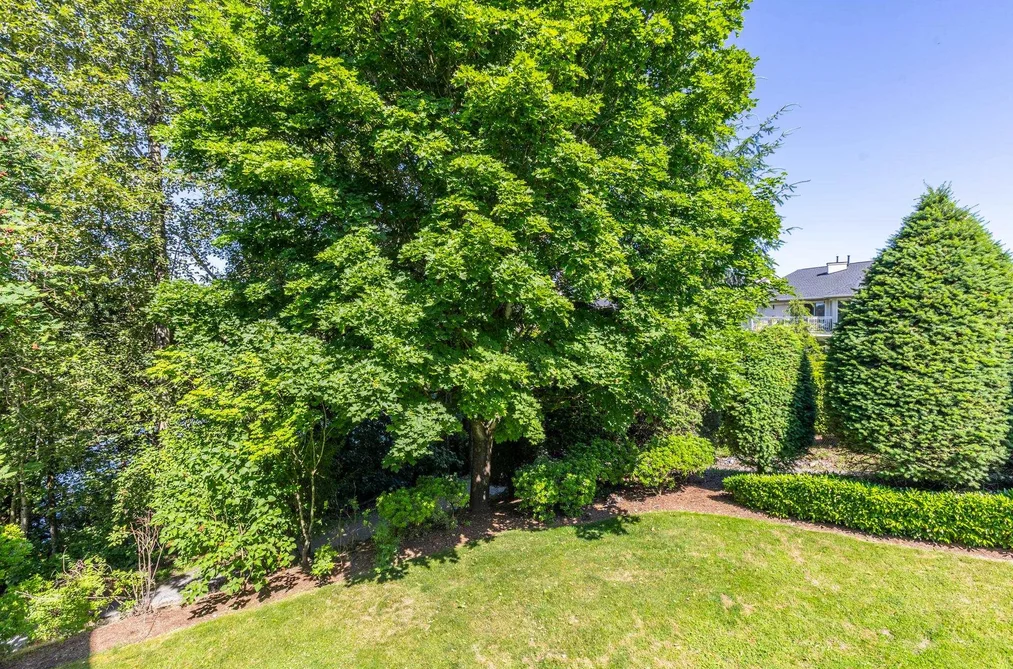 13 31501 UPPER MACLURE ROAD, Abbotsford BC V2T 5S6, Abbotsford BC — Residential for Sale — Photo 35 of 40