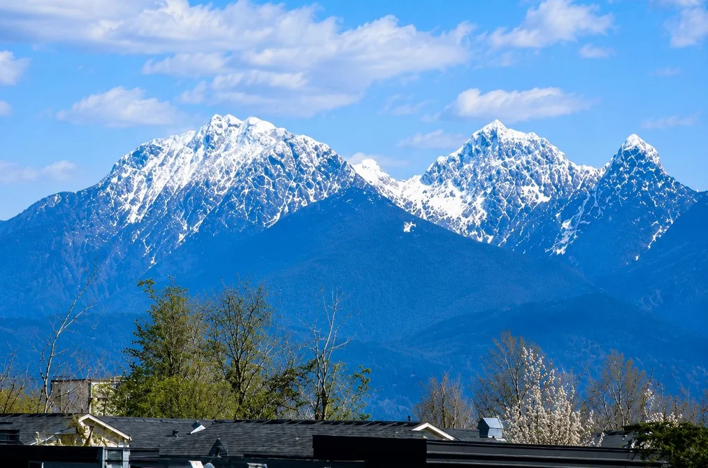 13 7177 194 A STREET, Surrey BC V4N 6V6, Surrey BC — Residential for Sale — Photo 5 of 37