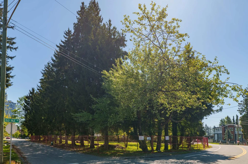 Property for sale at 13003 Old Yale Road Surrey British Columbia - MLS: R3073304