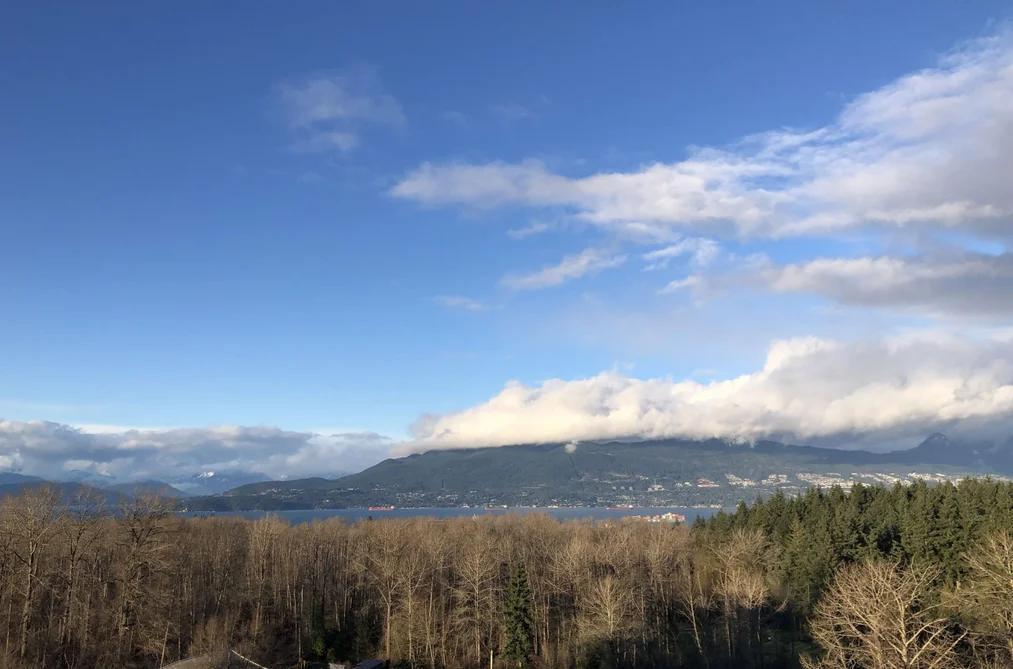 Condo for sale at 1303 5410 Shortcut Road Vancouver British Columbia - MLS: R3114956