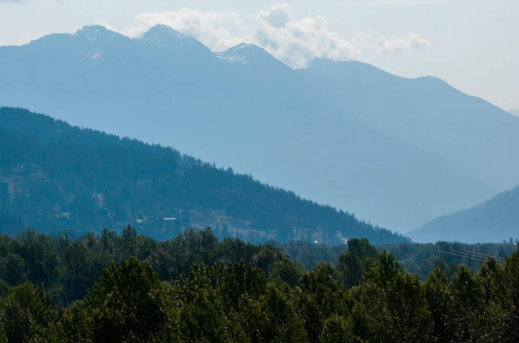 1303 Eagle Drive, Pemberton, BC - MLS: R3179803 - Photo 11 1303 Eagle Drive, Pemberton, BC - MLS: R3179803 - Photo 11