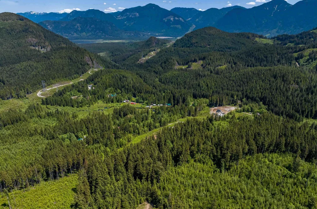 13045 CARDINAL STREET, Mission BC V4S 1L3, Mission BC — Land for Sale - Photo 6