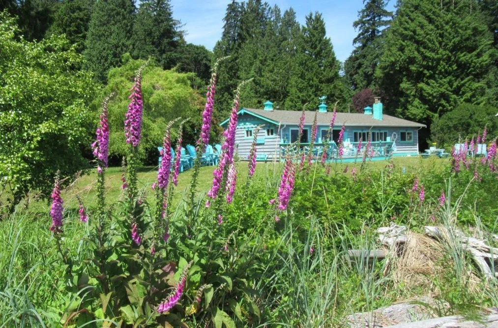 1308 BURNS ROAD, Gibsons BC V0N 1V1, Gibsons BC — Residential for Sale - Photo 4