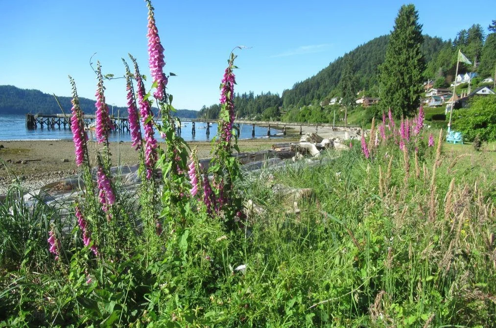1308 BURNS ROAD, Gibsons BC V0N 1V1, Gibsons BC — Residential for Sale - Photo 5