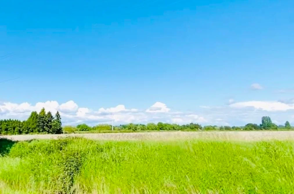 13091 NO. 3 ROAD, Richmond BC V7A 1X7, Richmond BC — Land for Sale - Photo 2