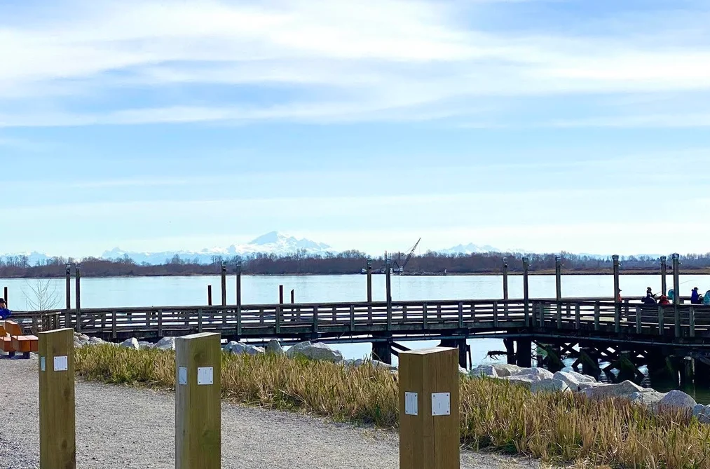 13091 NO. 3 ROAD, Richmond BC V7A 1X7, Richmond BC — Land for Sale - Photo 4
